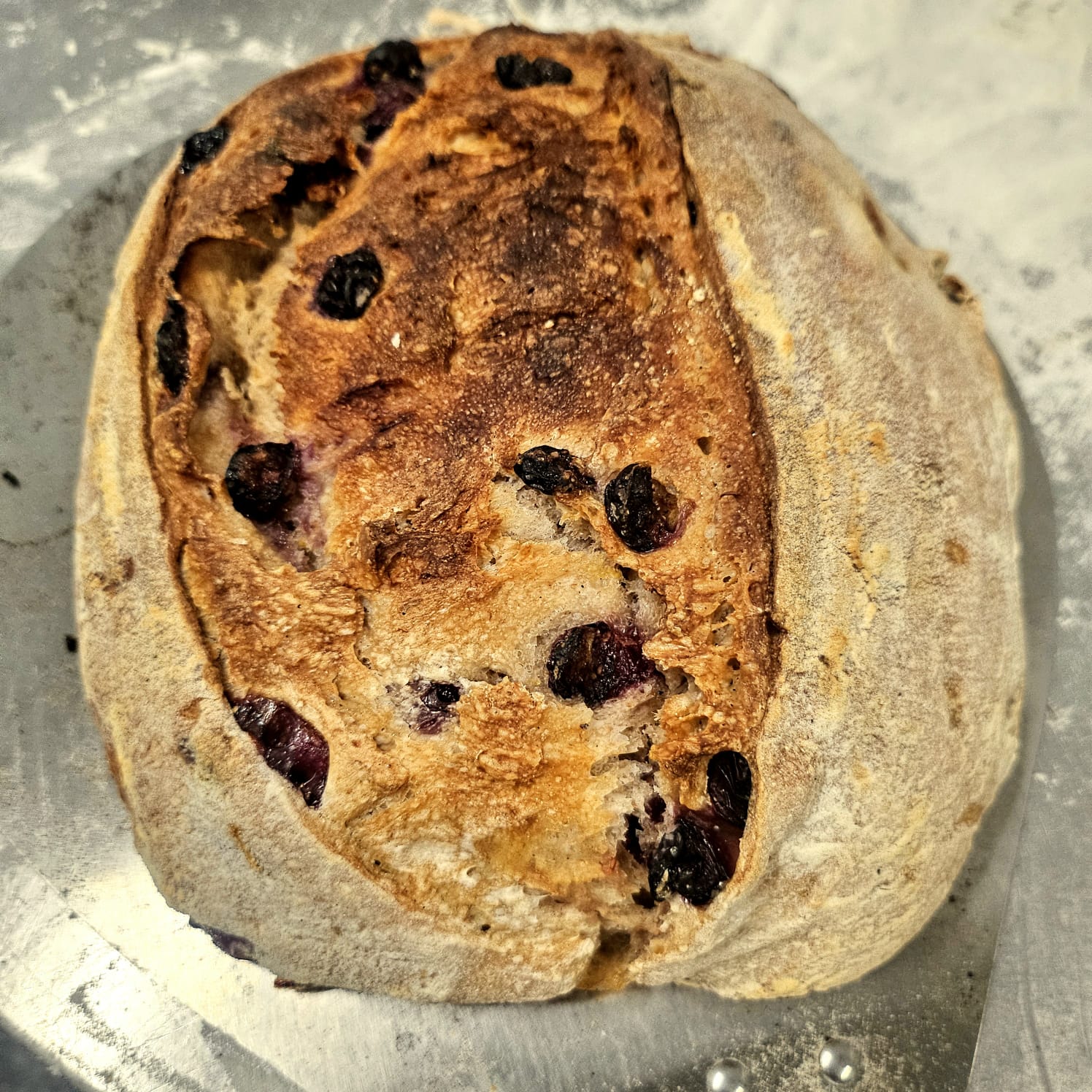 Lemon Blueberry Sourdough (Seasonal)