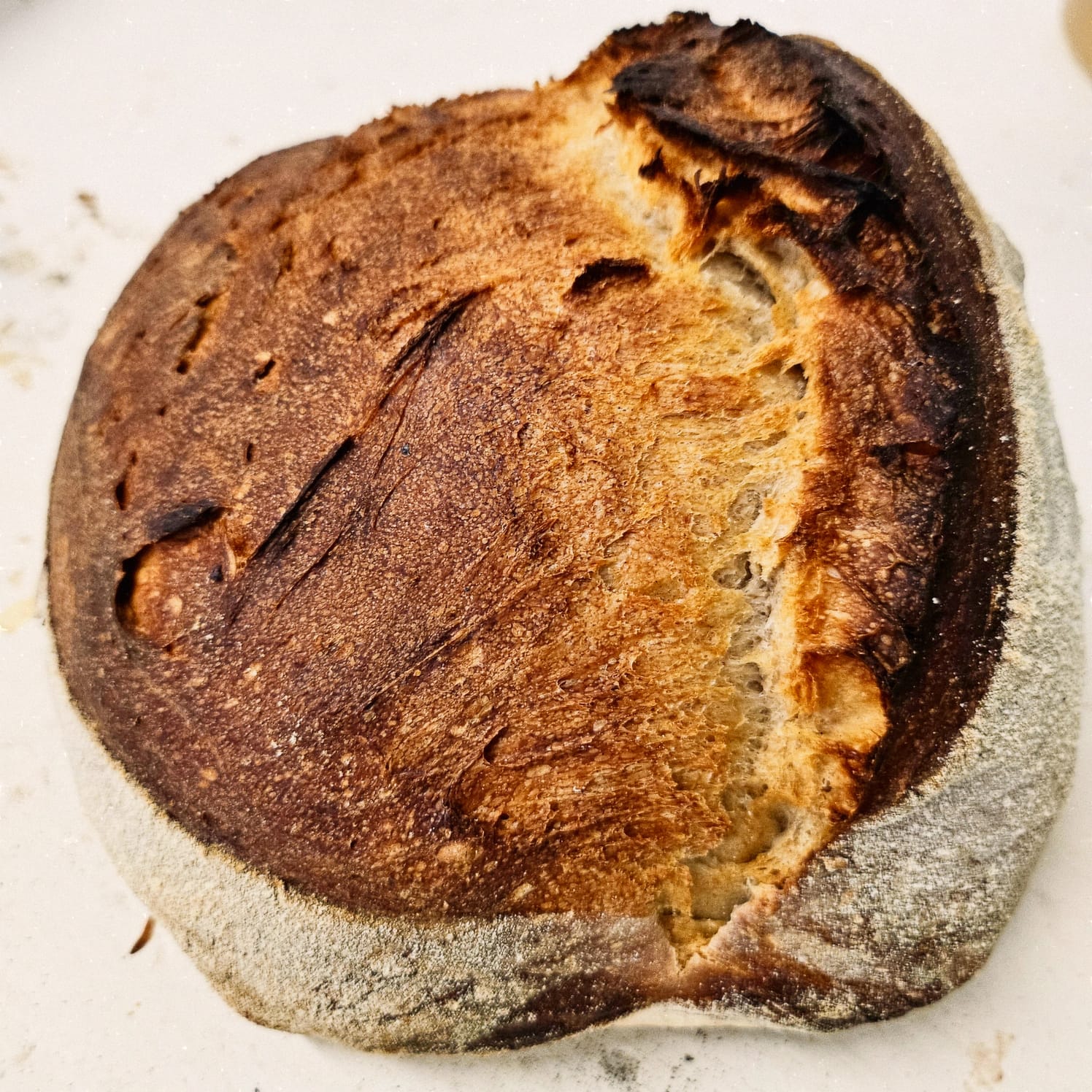 Classic Sourdough