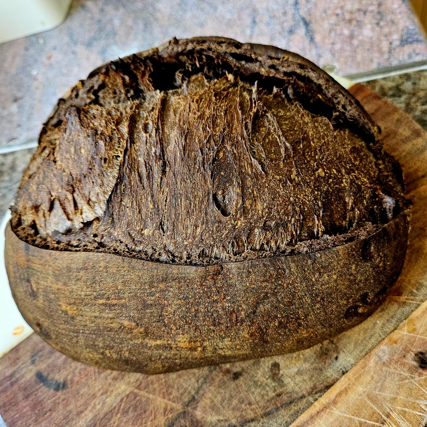 Cocoa Sourdough w/ Chocolate Chips